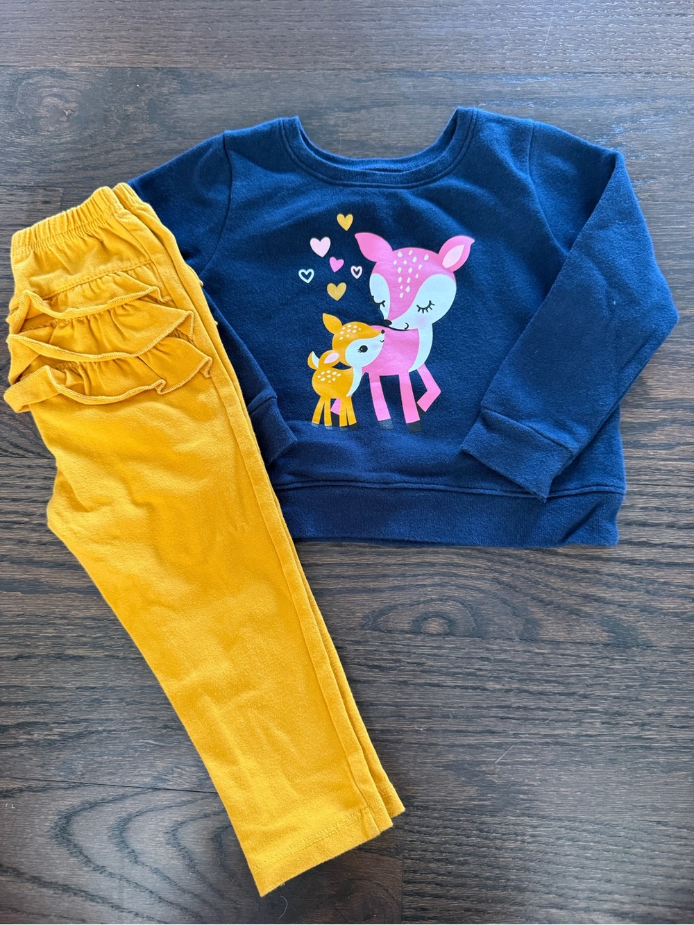 24 Month Garanimals Outfit